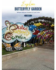 蝴蝶园 Butterfly Garden