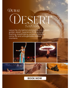 迪拜沙漠之旅 Dubai Desert Tour