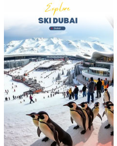 迪拜滑雪场 Ski Dubai