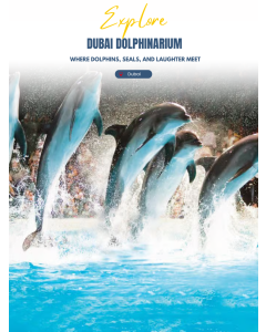 迪拜溪海豚馆 Dubai Dolphinarium Creek