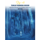 TeamLab Phenomena Museum
